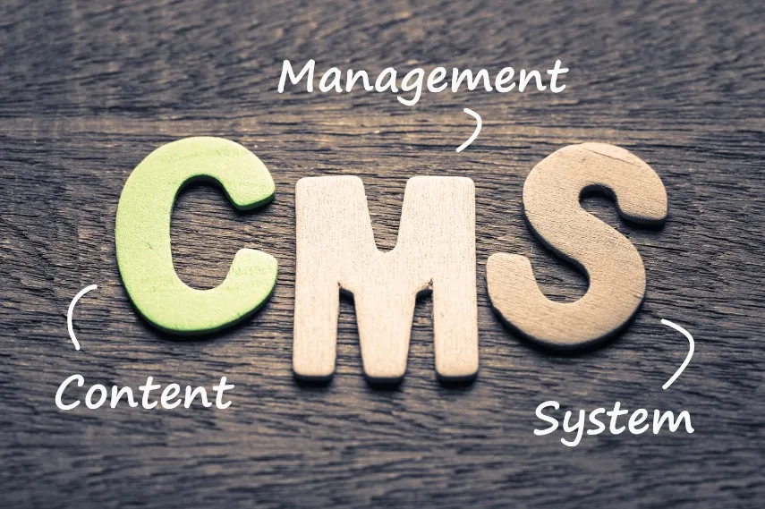 CMS Showdown Find the Perfect Platform for Your Website