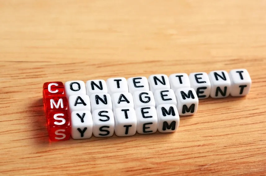 Keep Your Website Fresh Essential Content Management Tips